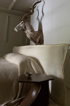 Corna vintage di kudu maggiore su una base scultorea per tassidermia