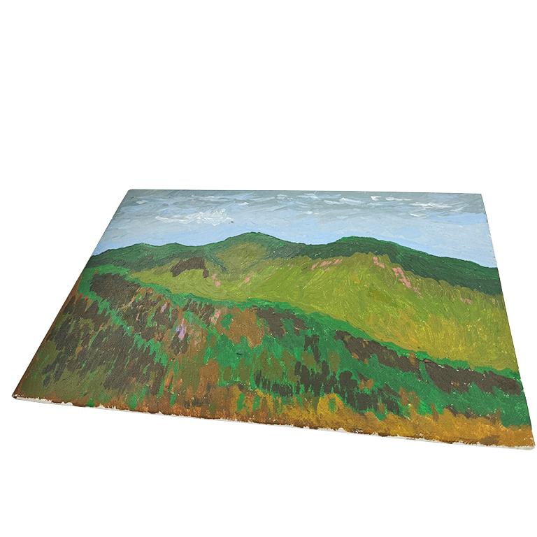 Vintage Green Mountain Landscape - Modernes Ölgemälde auf Karton aus der Mitte des Jahrhunderts (Leinwand) im Angebot