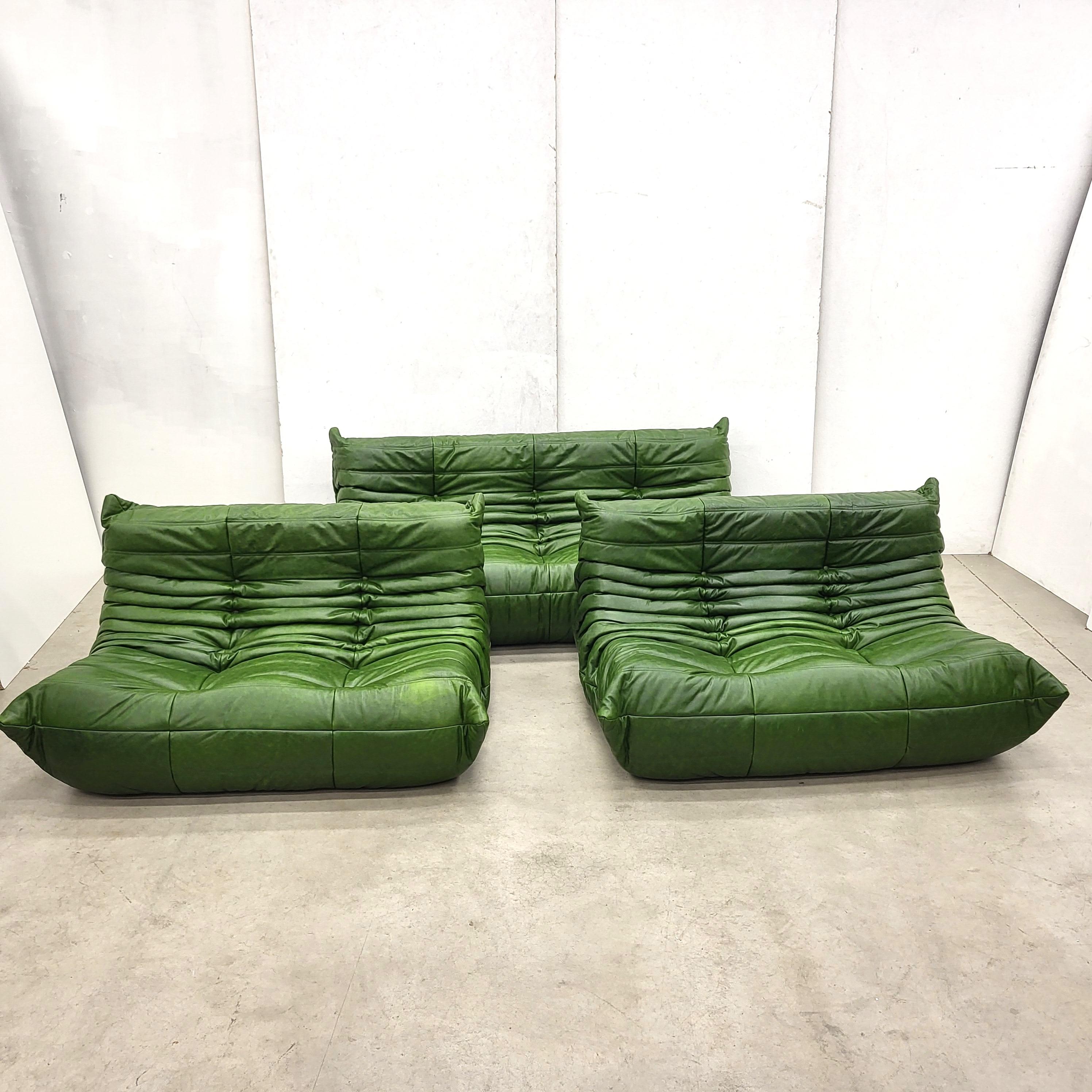 green togo sofa