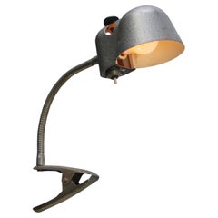 Faretti fotografici vintage grigi a braccio flessibile CLAMP