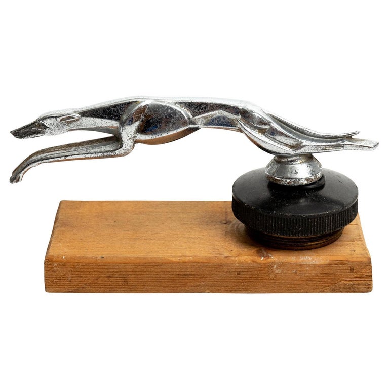 Vintage Greyhound Hood Ornament at 1stDibs greyhound hood ornament for sale