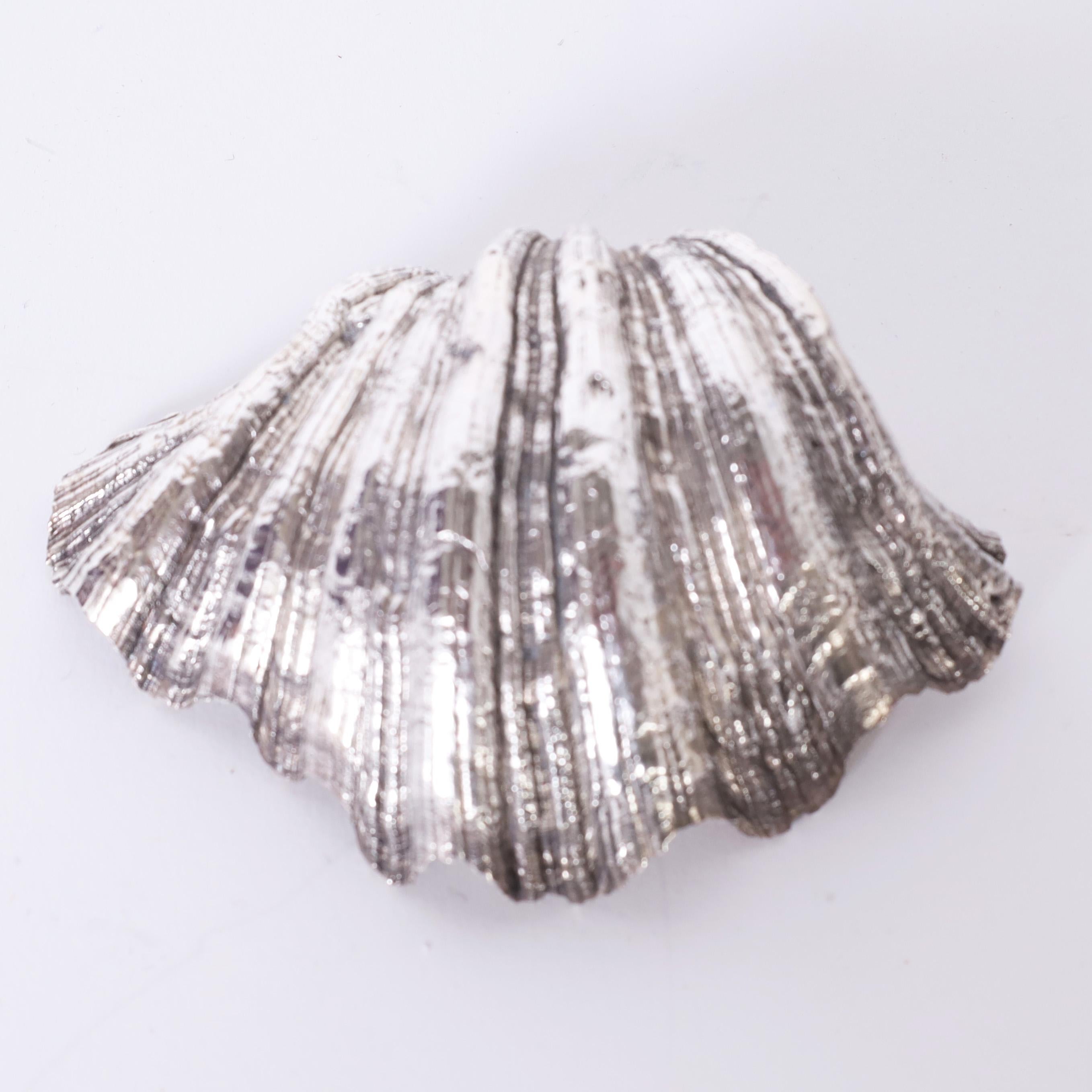 Mid-Century Modern Vintage Group of Five Silver Overlay Seashells, Priced Individually  For Sale