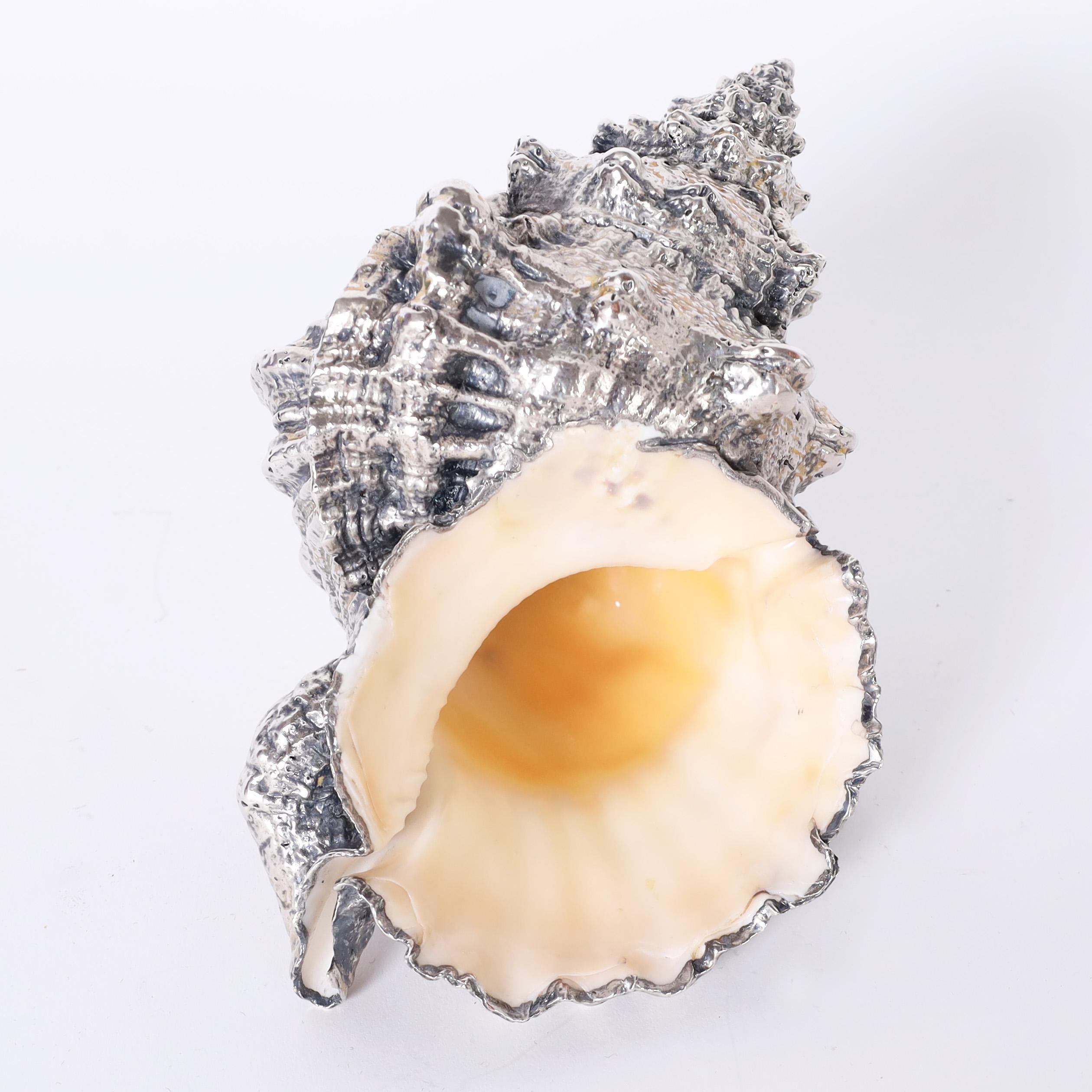 20th Century Vintage Group of Five Silver Overlay Seashells, Priced Individually  For Sale