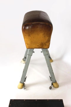 Vintage Gymnastic Horse in Leather with Springboard, 1960s, Set of 2