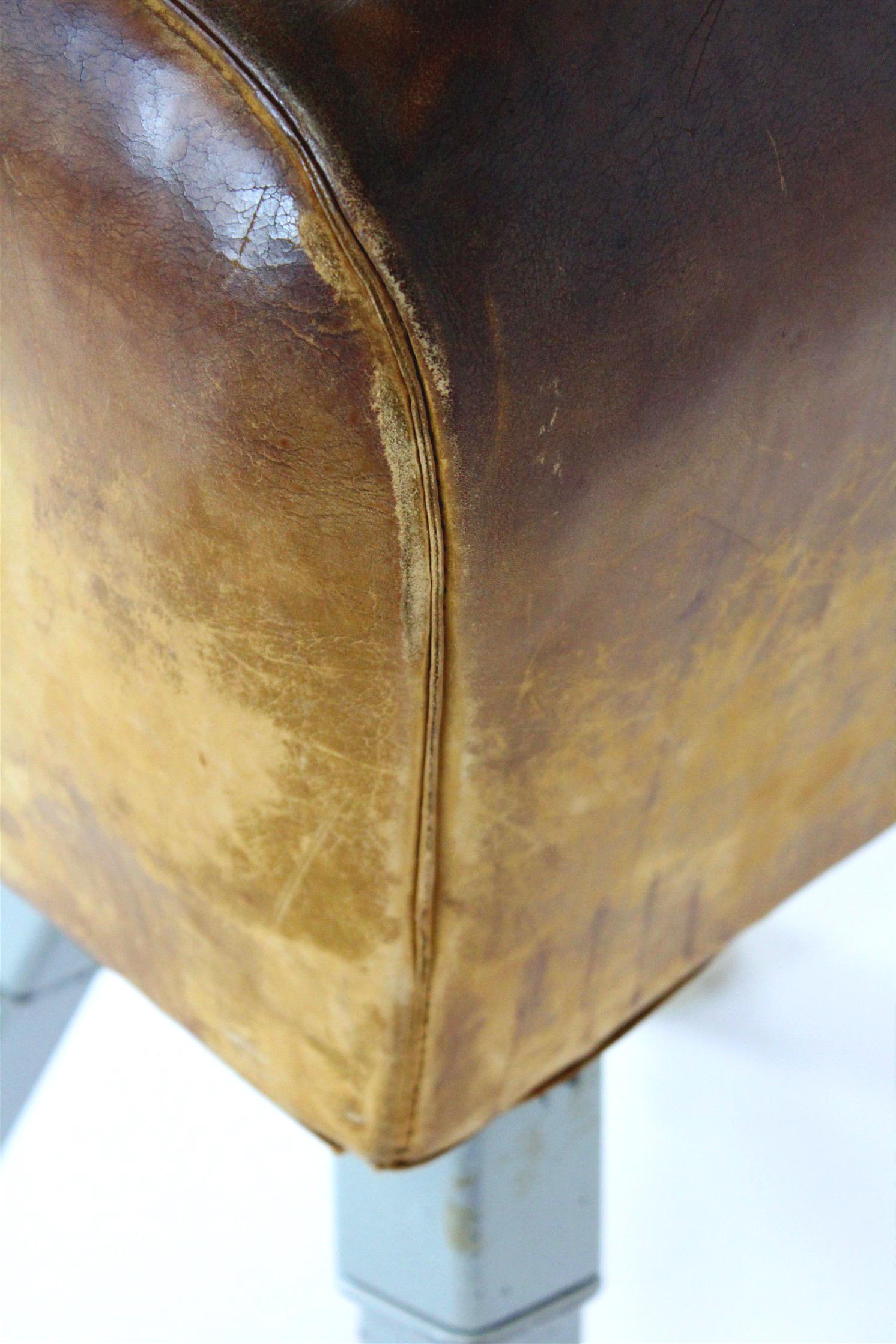 Vintage Gymnastic Horse in Leather with Springboard, 1960s, Set of 2 For Sale 1