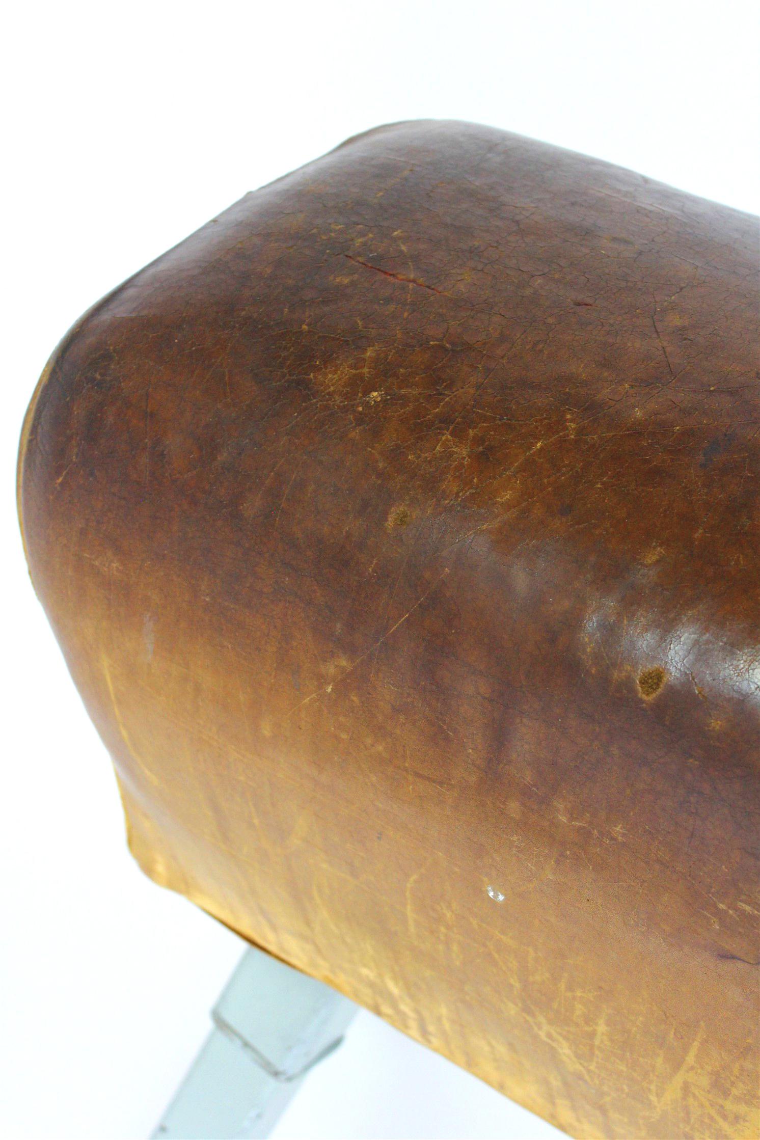 Vintage Gymnastic Horse in Leather with Springboard, 1960s, Set of 2 For Sale 2