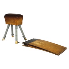 Vintage Gymnastic Horse in Leather with Springboard, 1960s, Set of 2