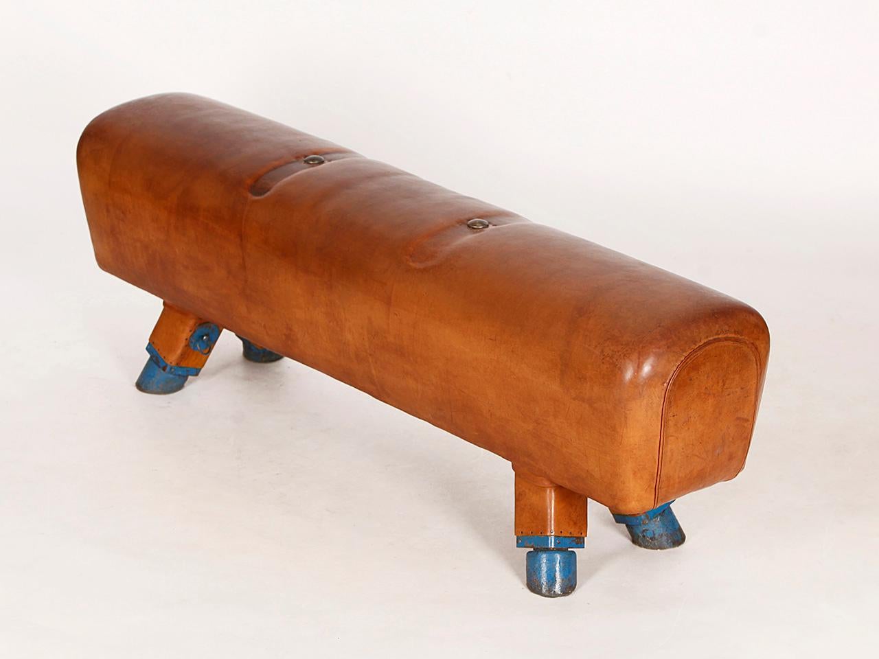 Industrial Vintage Gymnastic Leather Pommel Horse Bench, 1930s, Restored