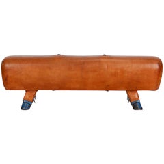 Vintage Gymnastic Leather Pommel Horse Bench, 1930s, Restored