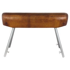 Retro Gymnastic Pommel Horse in Leather