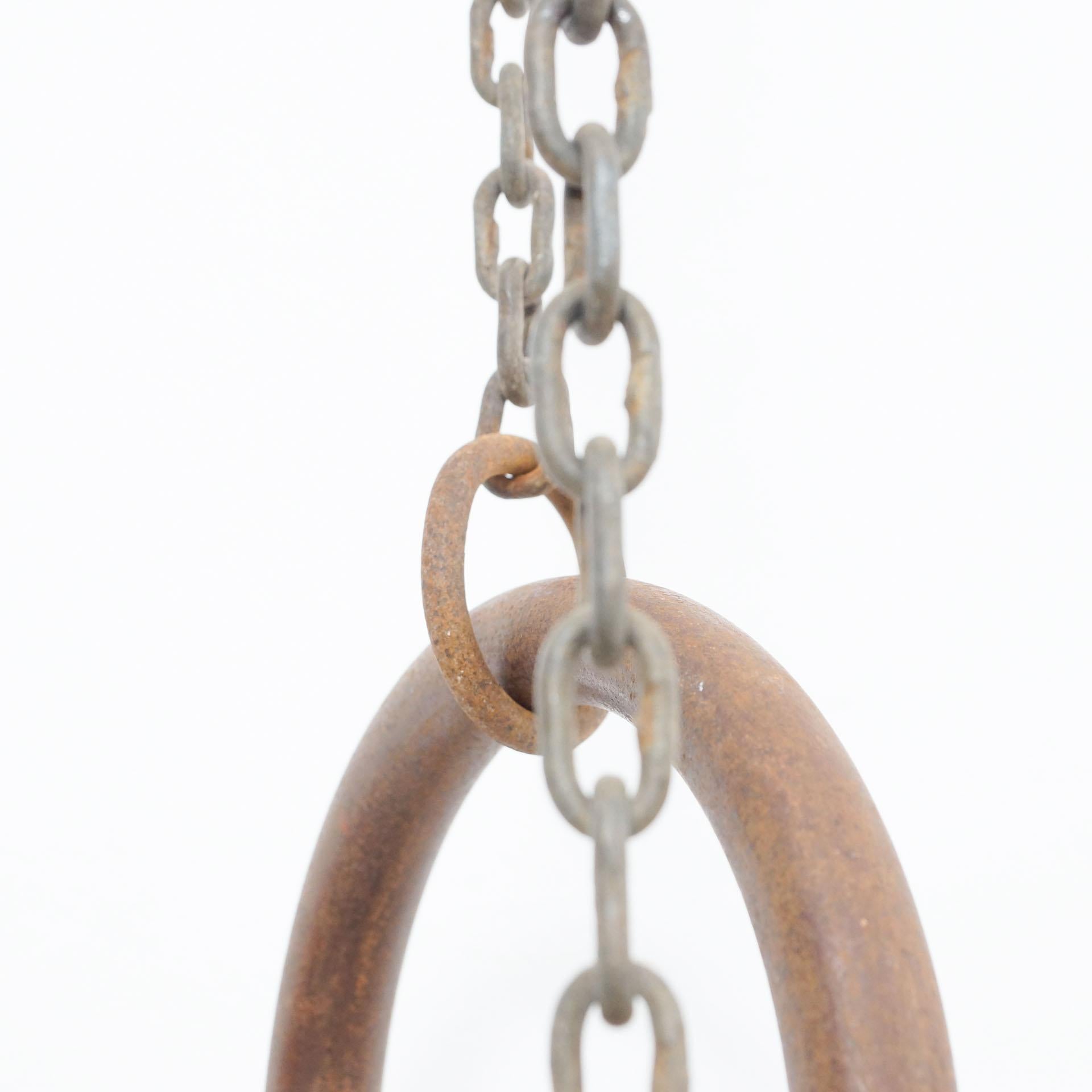 20th Century Vintage Gymnastic Rings in Wood, circa 1950 For Sale
