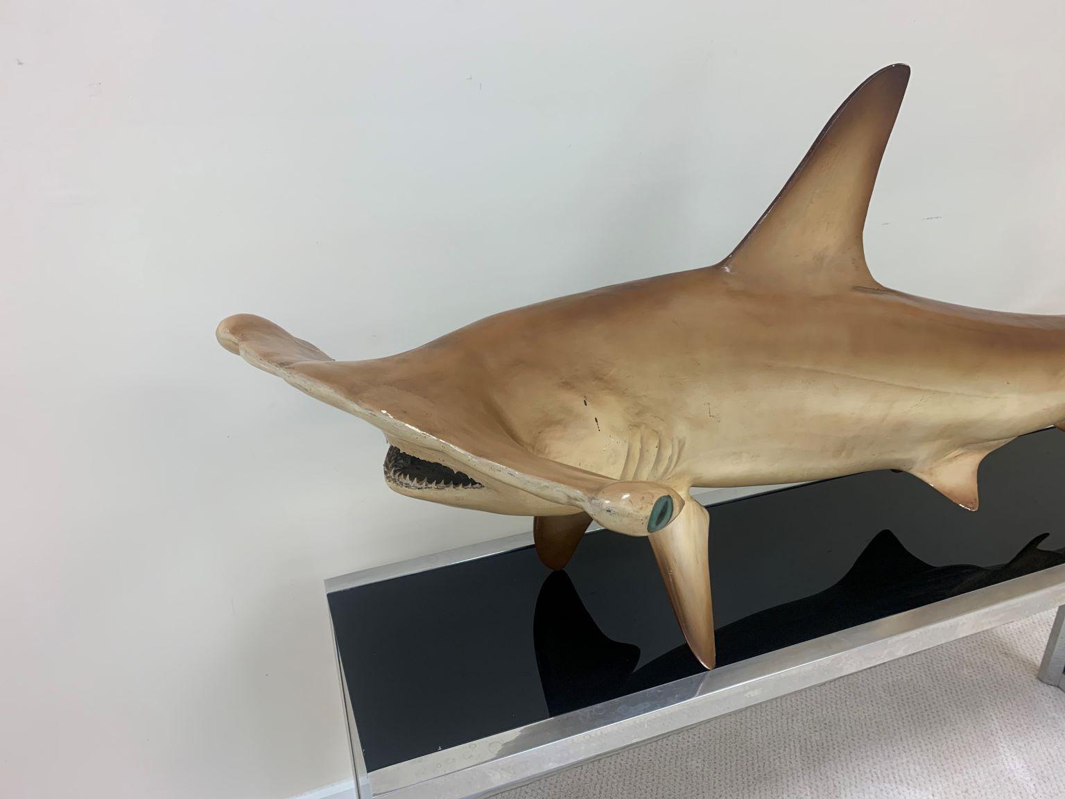 Spectacular vintage Hammerhead Shark sculptural mount. This shark mount would be a great conversational piece for any room. It has a bracket to be mounted on a wall but would also look fabulous on a console table or any other case piece. Circa