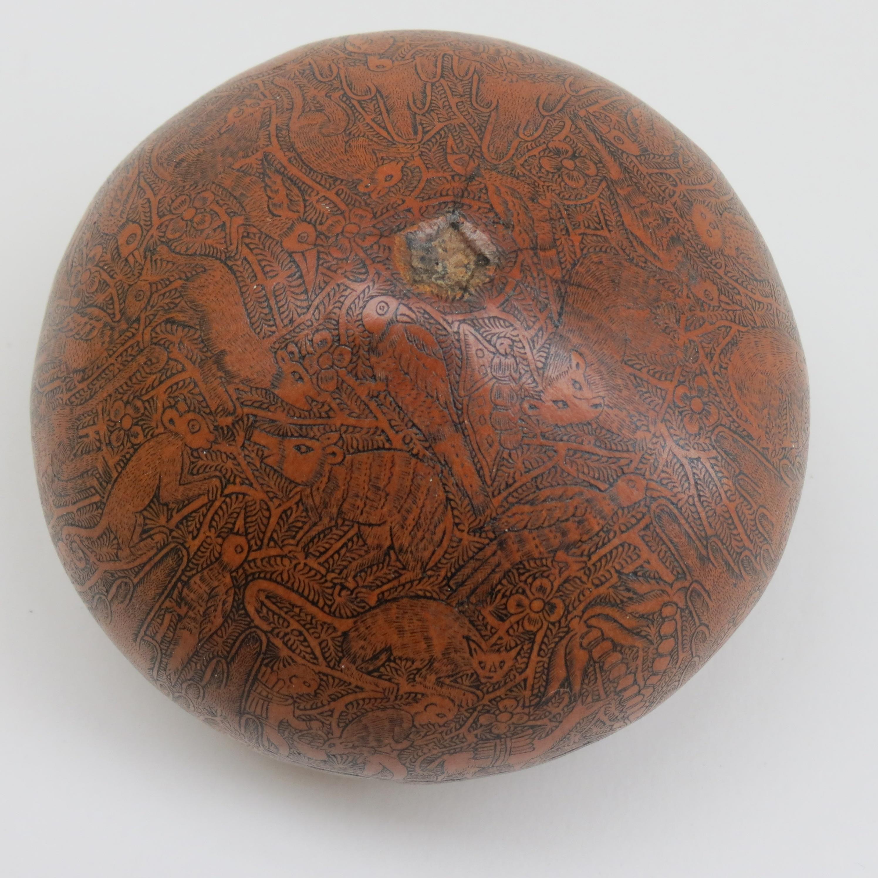 Vintage Hand Carved Decorative Gourd from South America 5
