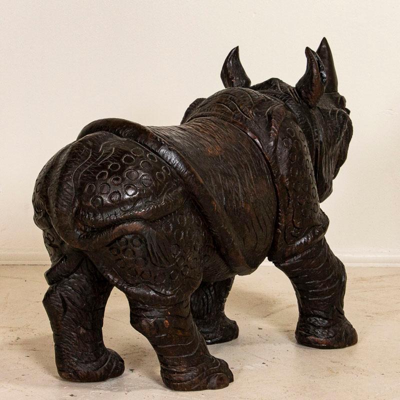 wie sieht ein nashorn aus