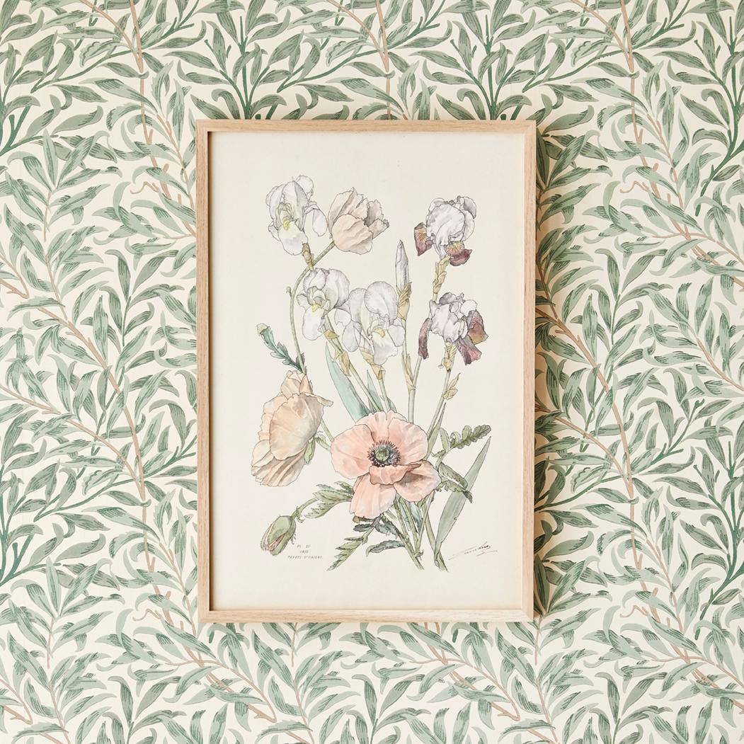 Exquisite hand-coloured botanical print in fair colours, dating from the late 19th century in Italy. 

A selection of these prints are available in our storefront. 

  