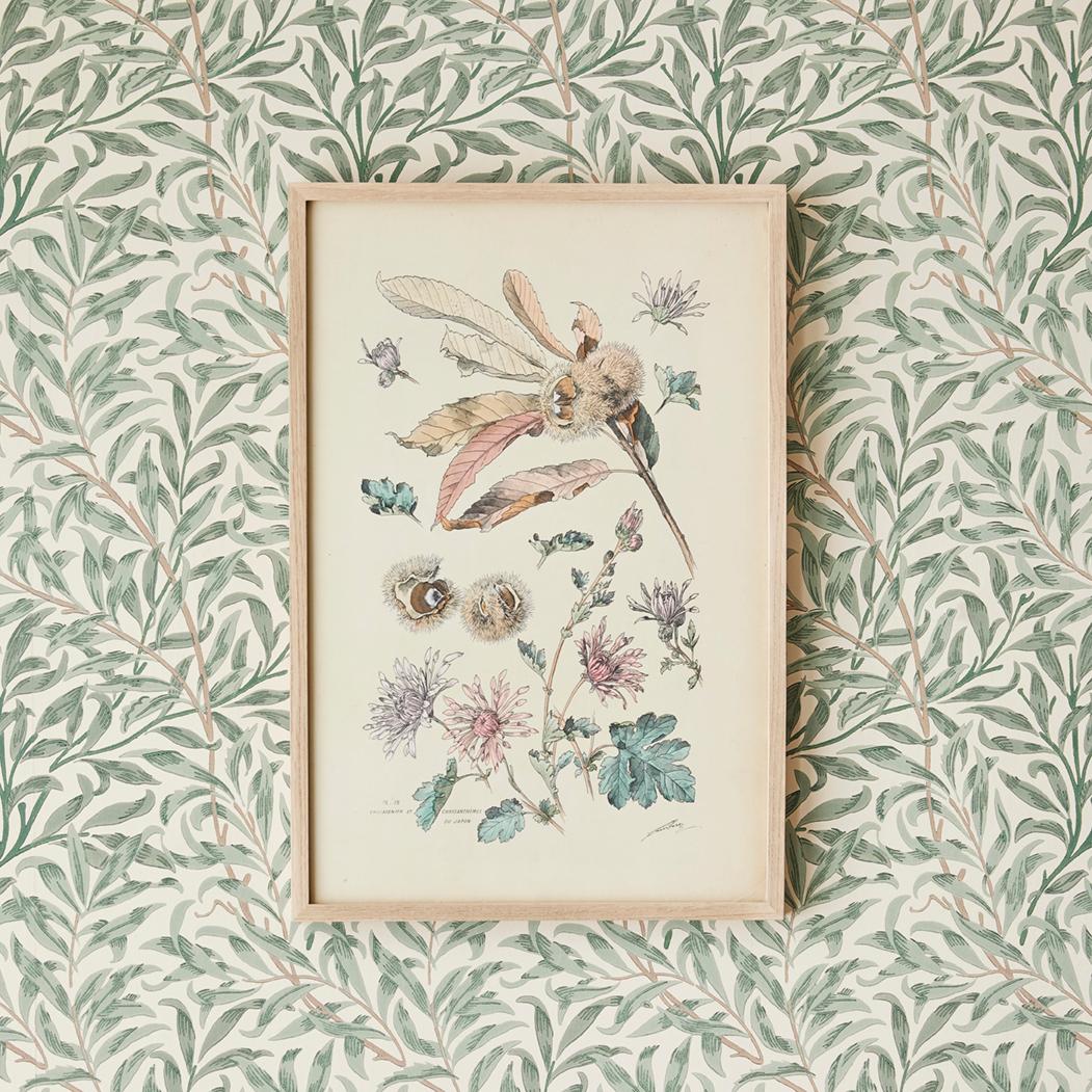 Exquisite hand-colored botanical print in fair colours, dating from the late 19th century in Italy. 

A selection of these prints are available in our storefront.