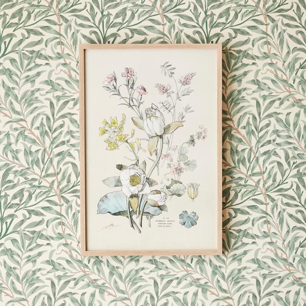 Exquisite hand-colored botanical print in fair colors, dating from the late 19th century in Italy. 

A selection of these prints are available in our storefront.
  