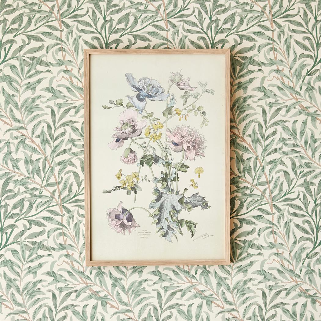 Exquisite hand-colored botanical print in fair colors, dating from the late 19th century in Italy. 

A selection of these prints are available in our storefront.