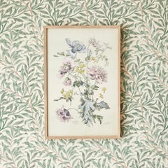 Vintage Hand-Colored Botanical Print, Italy '19th Century'