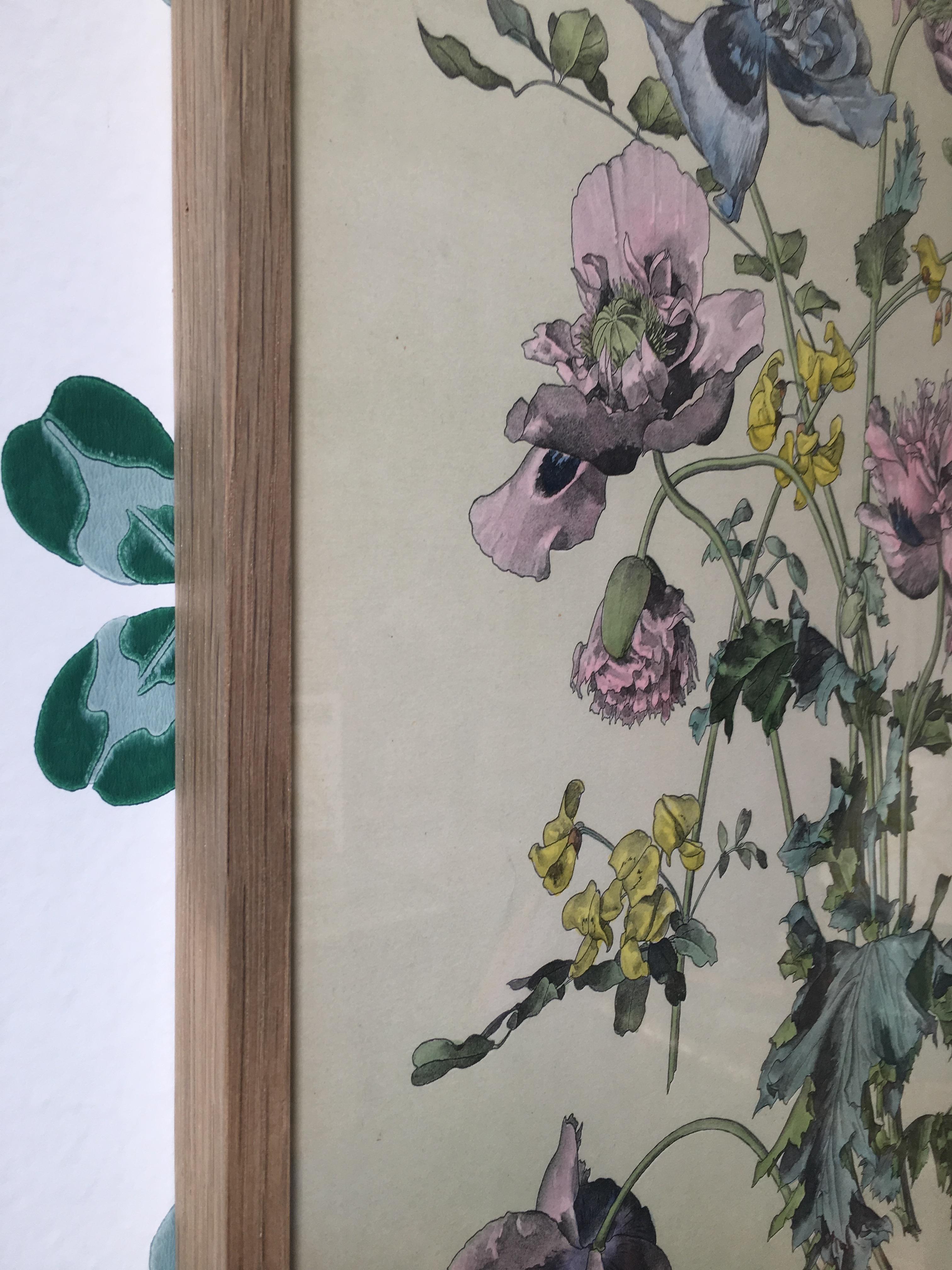 Paper Vintage Hand-Colored Botanical Print, Italy '19th Century'