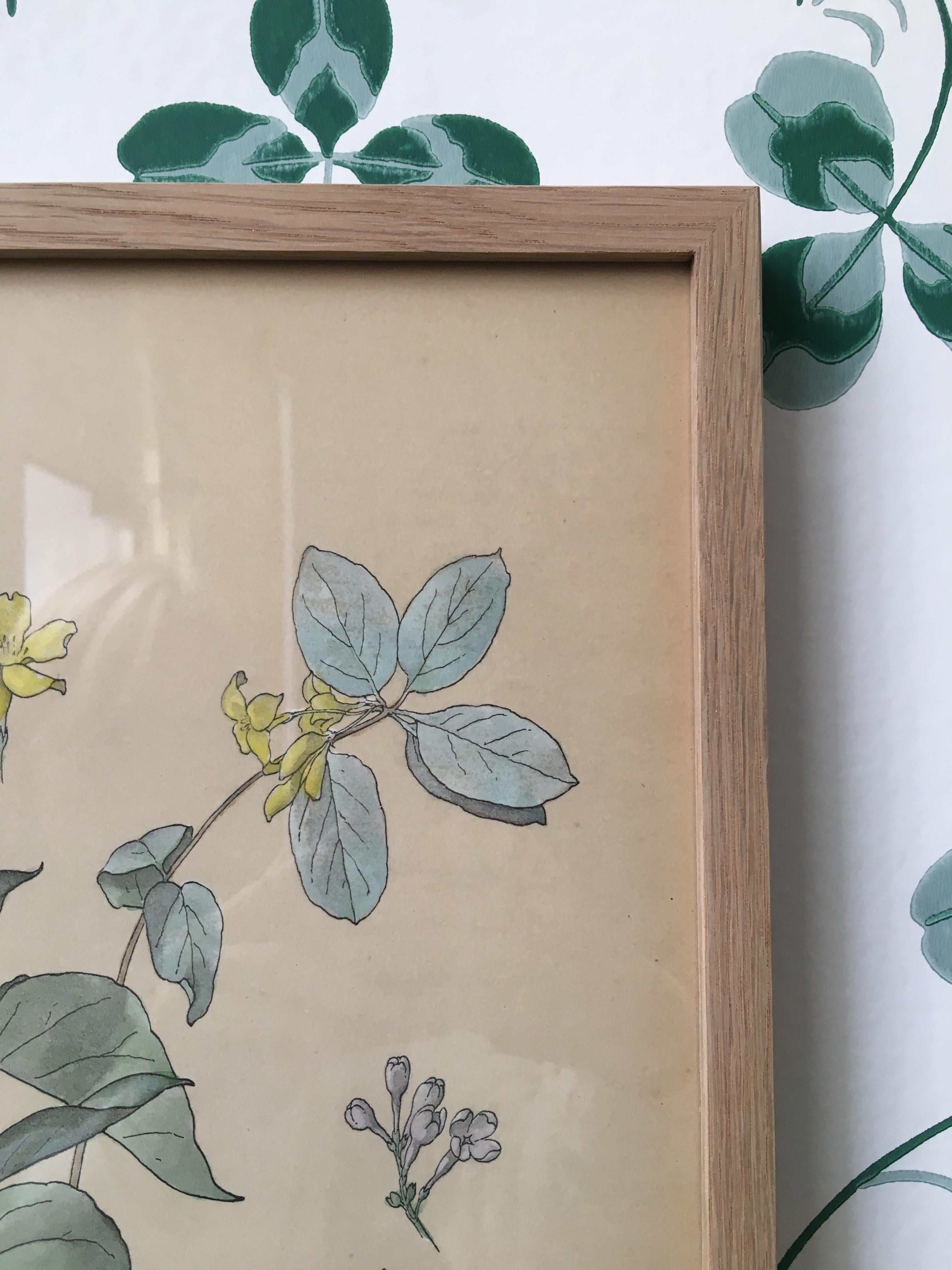 Paper Vintage Hand-Colored Botanical Print, Italy, '19th Century'