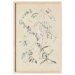 Antique Hand-Colored Botanical Print, Italy, 19th Century
