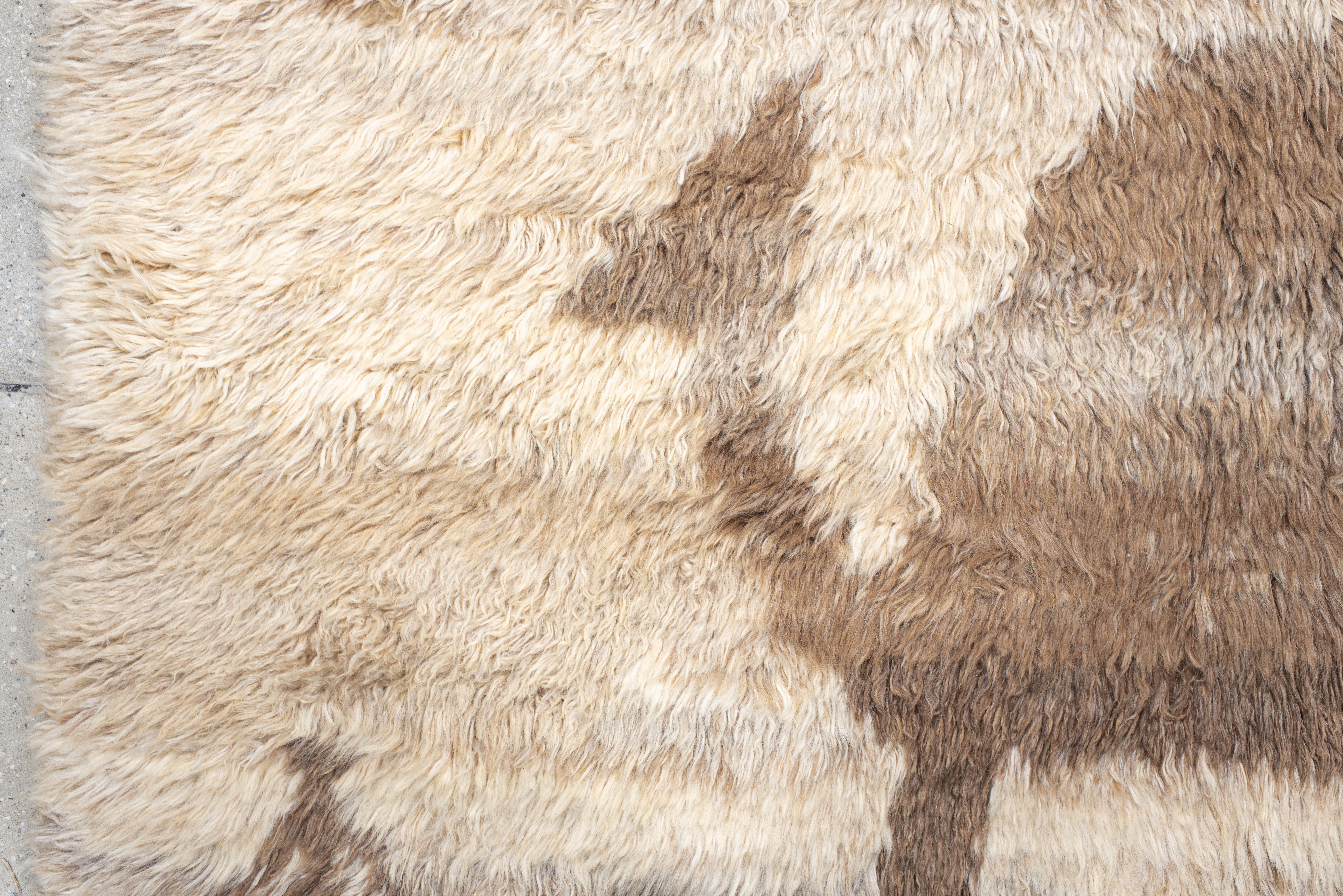 Wool Vintage Hand-Knotted Moroccan Rug Camel Motif Nomadic Design For Sale