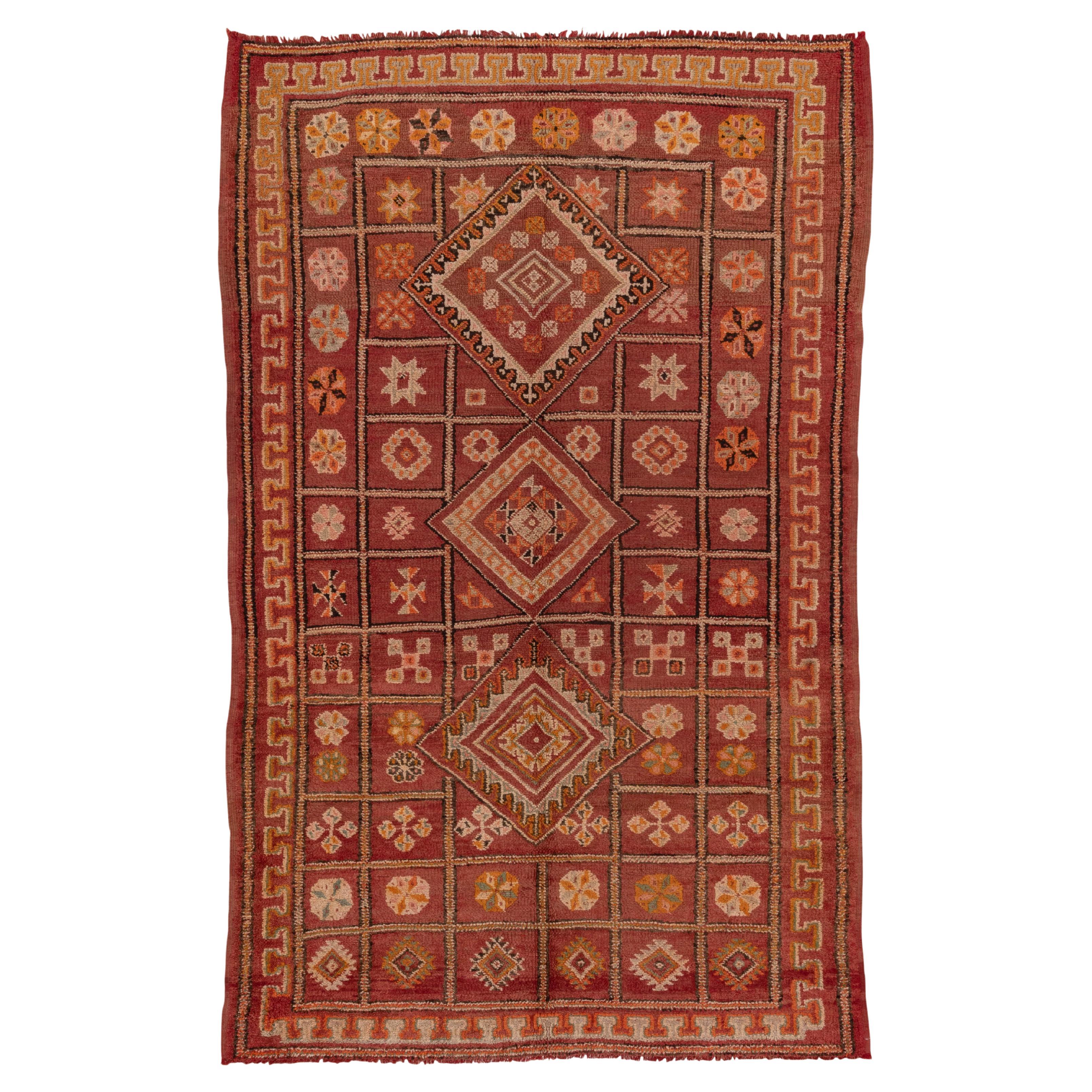 Tappeto marocchino vintage annodato a mano con disegno di medaglioni a reticolo