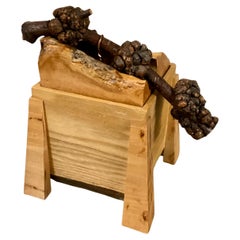 Caja de corteza con tapa y borde vivo artesanal vintage