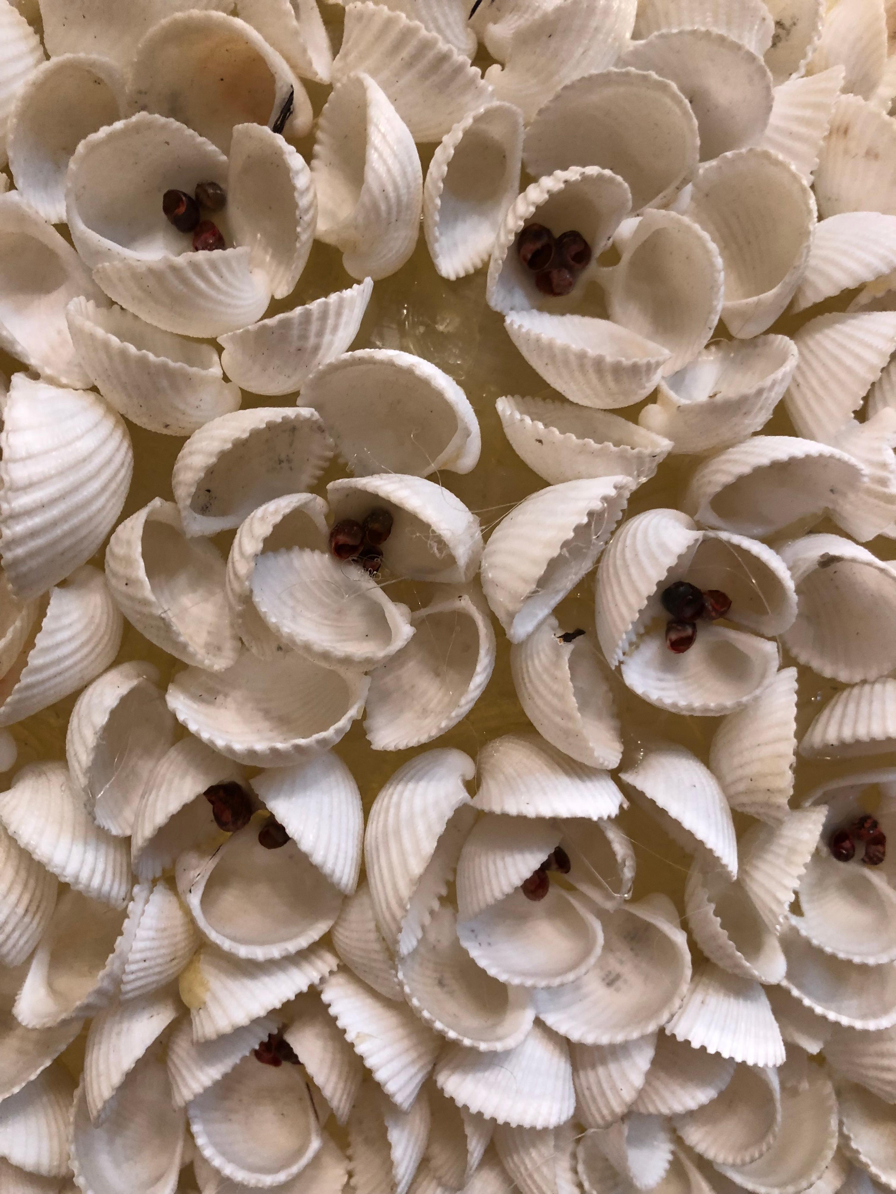 Organic Modern Vintage Handmade Elliptyical Seashell Flying Saucer Chandelier