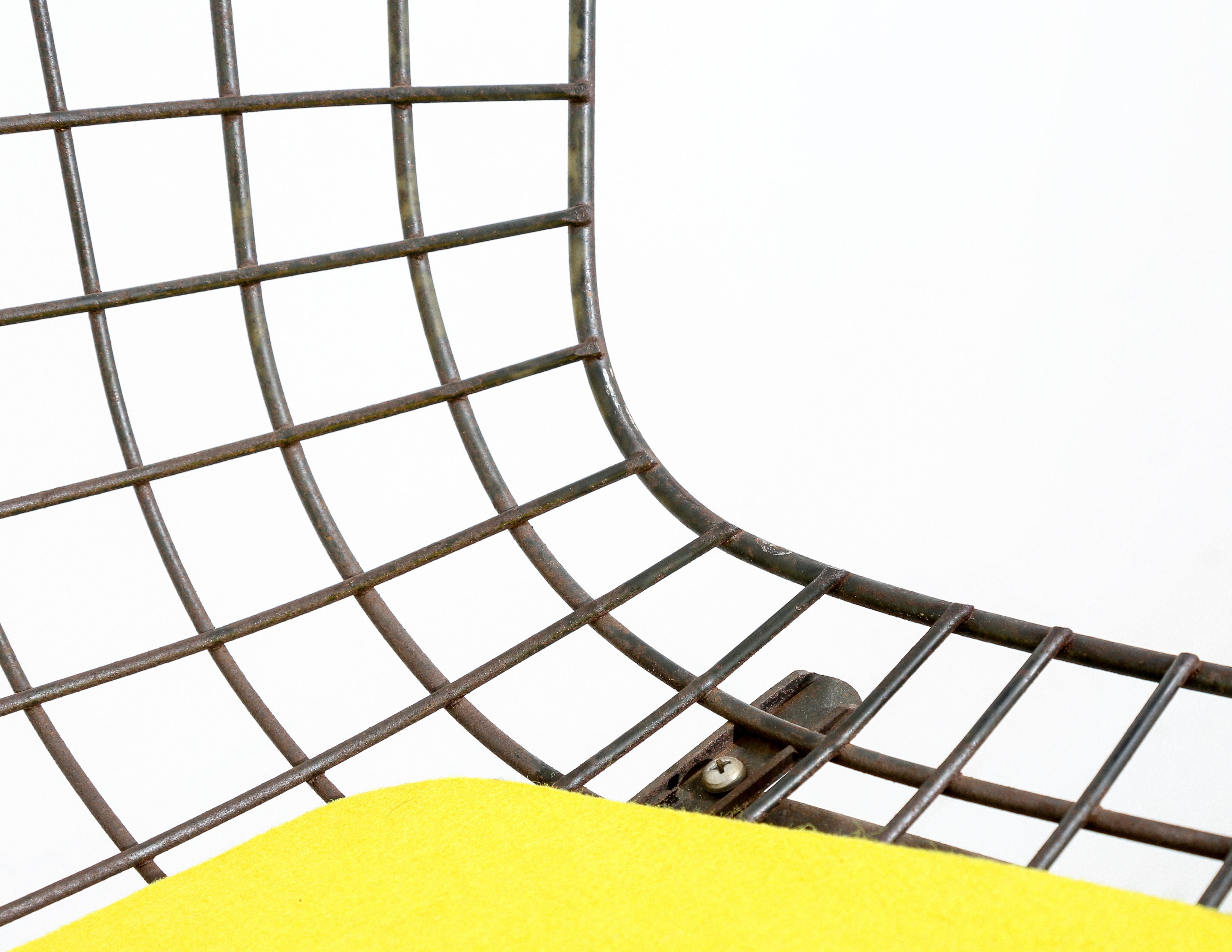 20th Century Set of 4 Vintage Harry Bertoia Chairs with Yellow Seat Cushions for Knoll