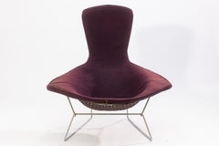 Vintage Harry Bertoia for Knoll Bird Lounge Chair with Purple Fabric Upholstery