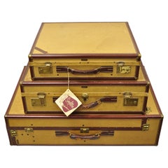 Vintage Hartmann Tourobe Gibraltarized Hard Luggage Suitcase Trunk, 3 Piece Set