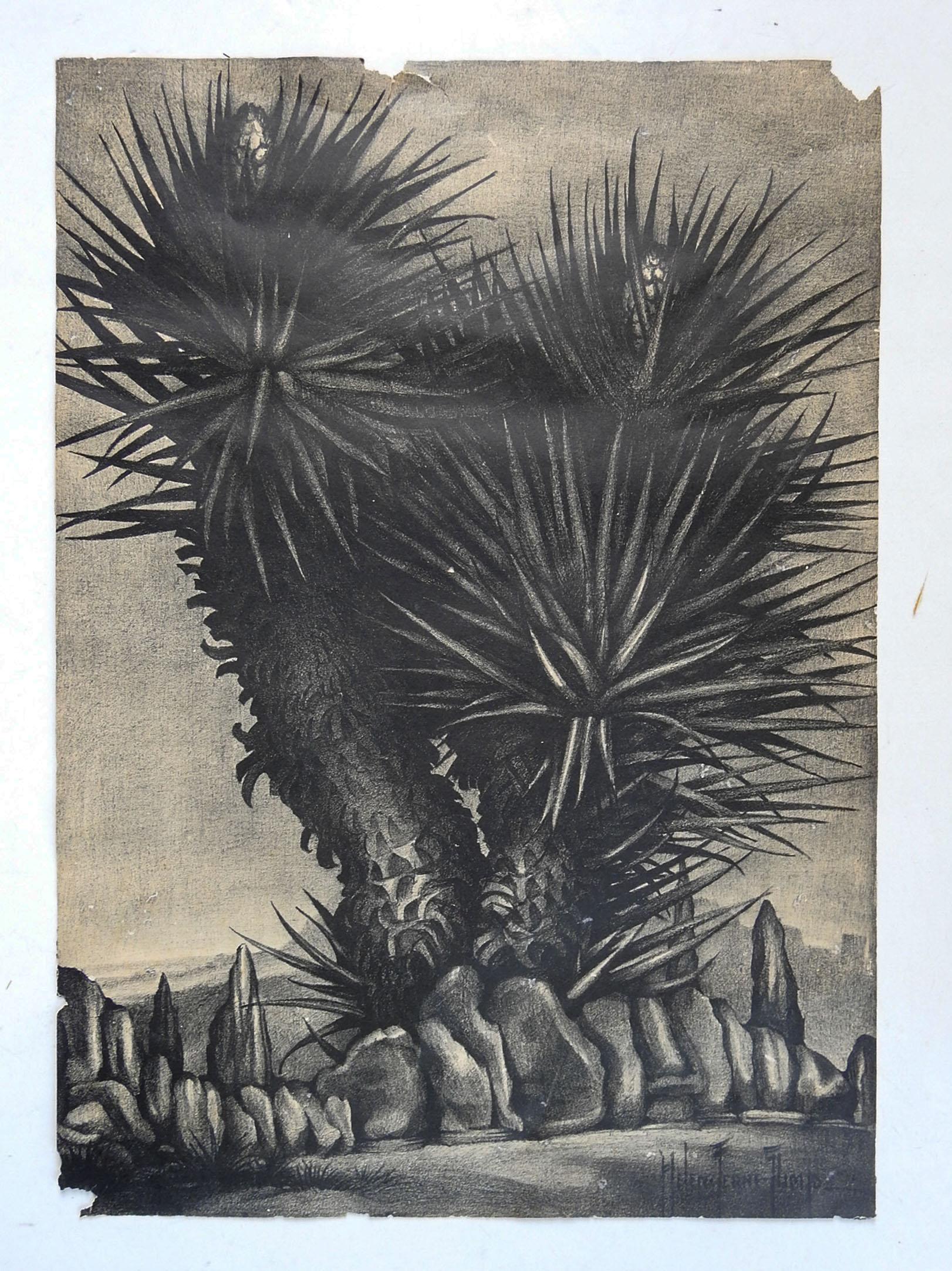 Vintage mid-20th century lithograph on paper 