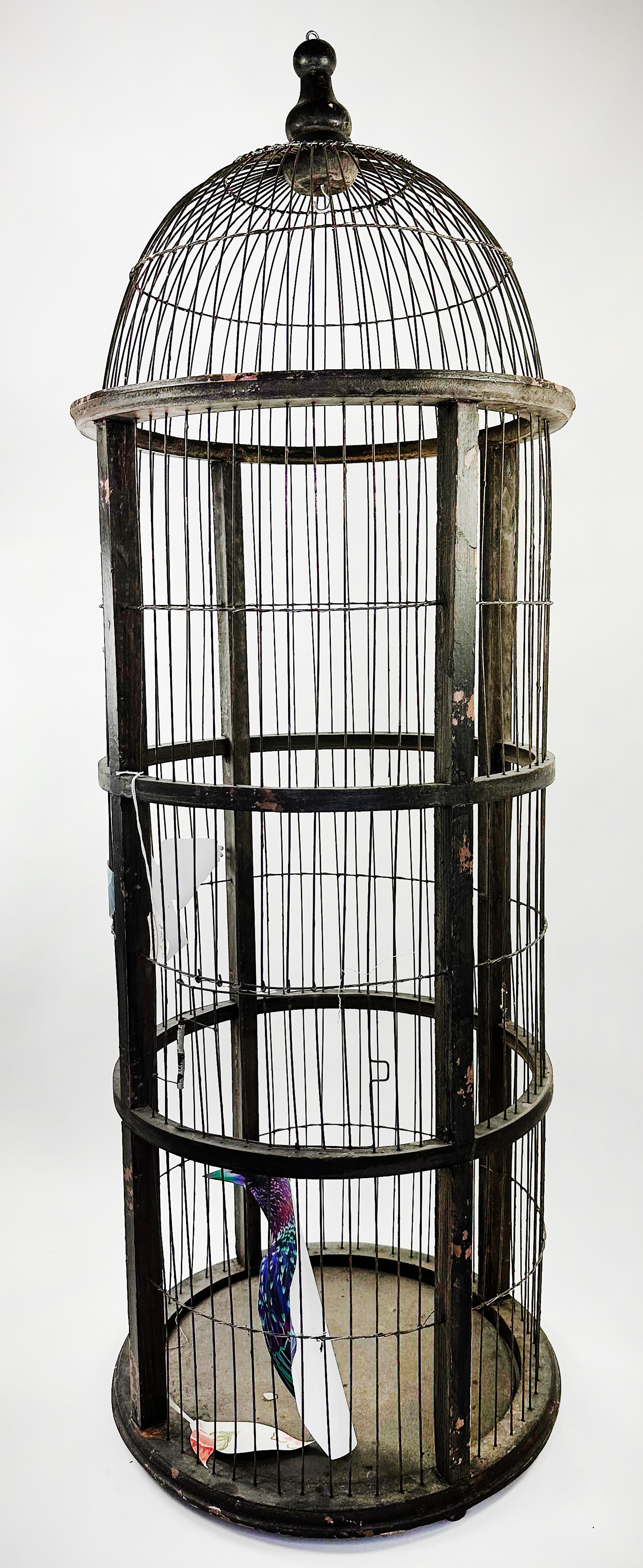 iron maiden cage