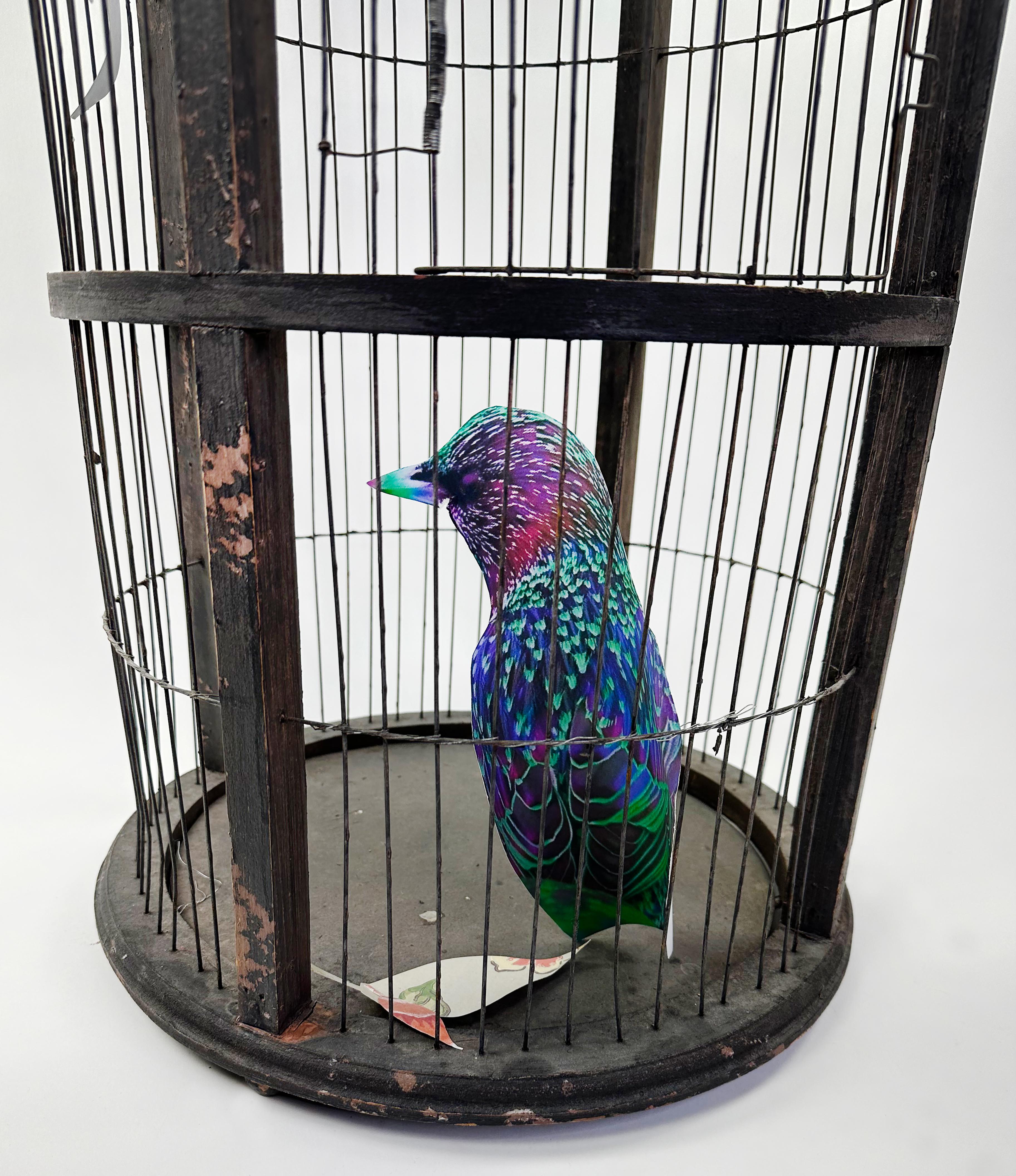 XIXe siècle Cage à oiseaux vintage en bois avec finition d'origine  en vente