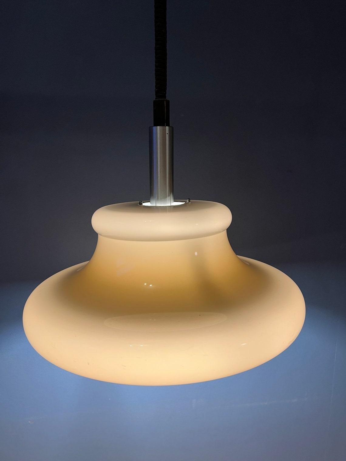 Vintage Herda Mushroom Pendant Lamp, 1970s In Excellent Condition For Sale In ROTTERDAM, ZH