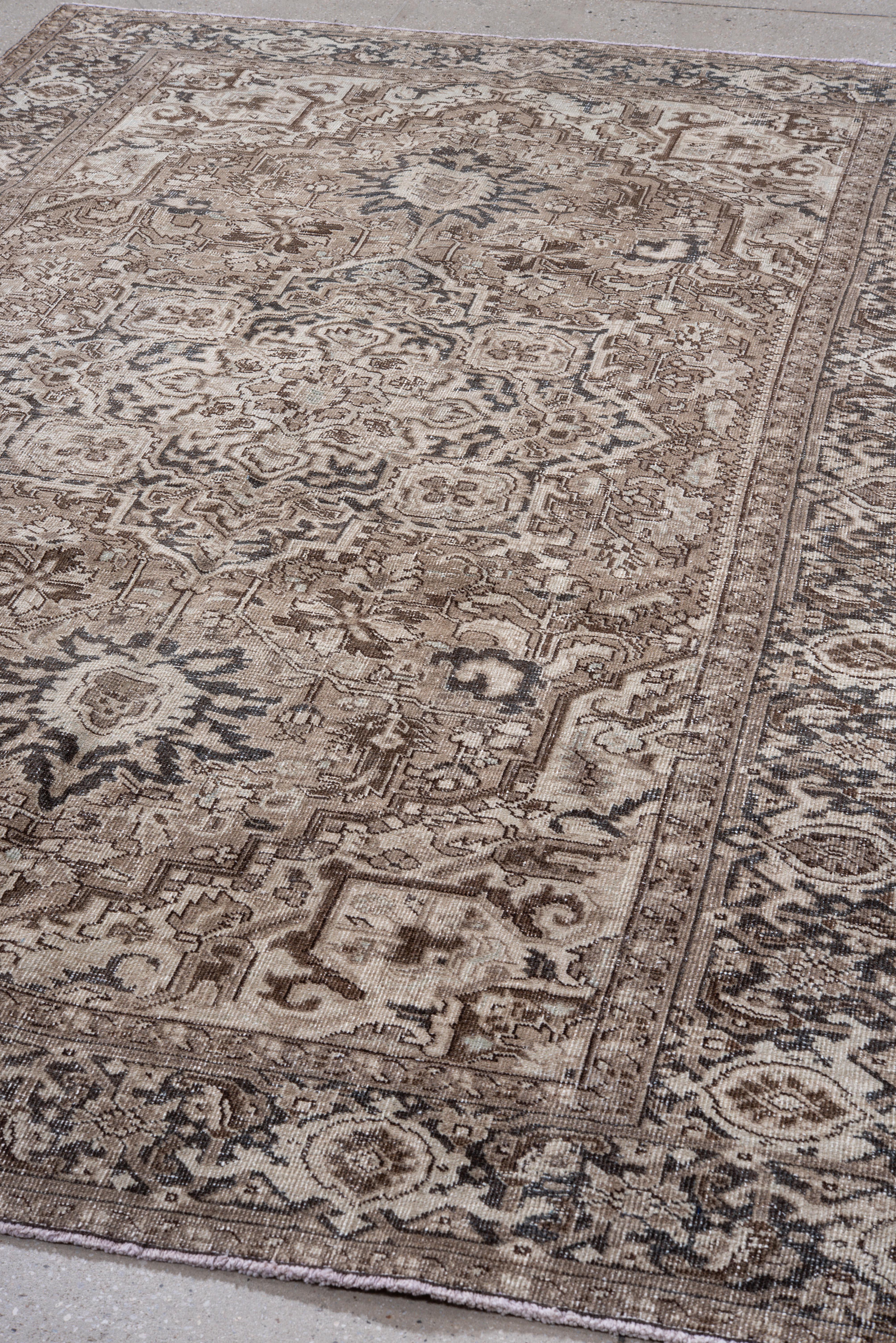 Tapis Vintage Heriz médaillon ivoire en noyer et charbon de bois en vente 1