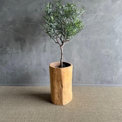 Vintage Hollowed Out Wood Stump Vessel