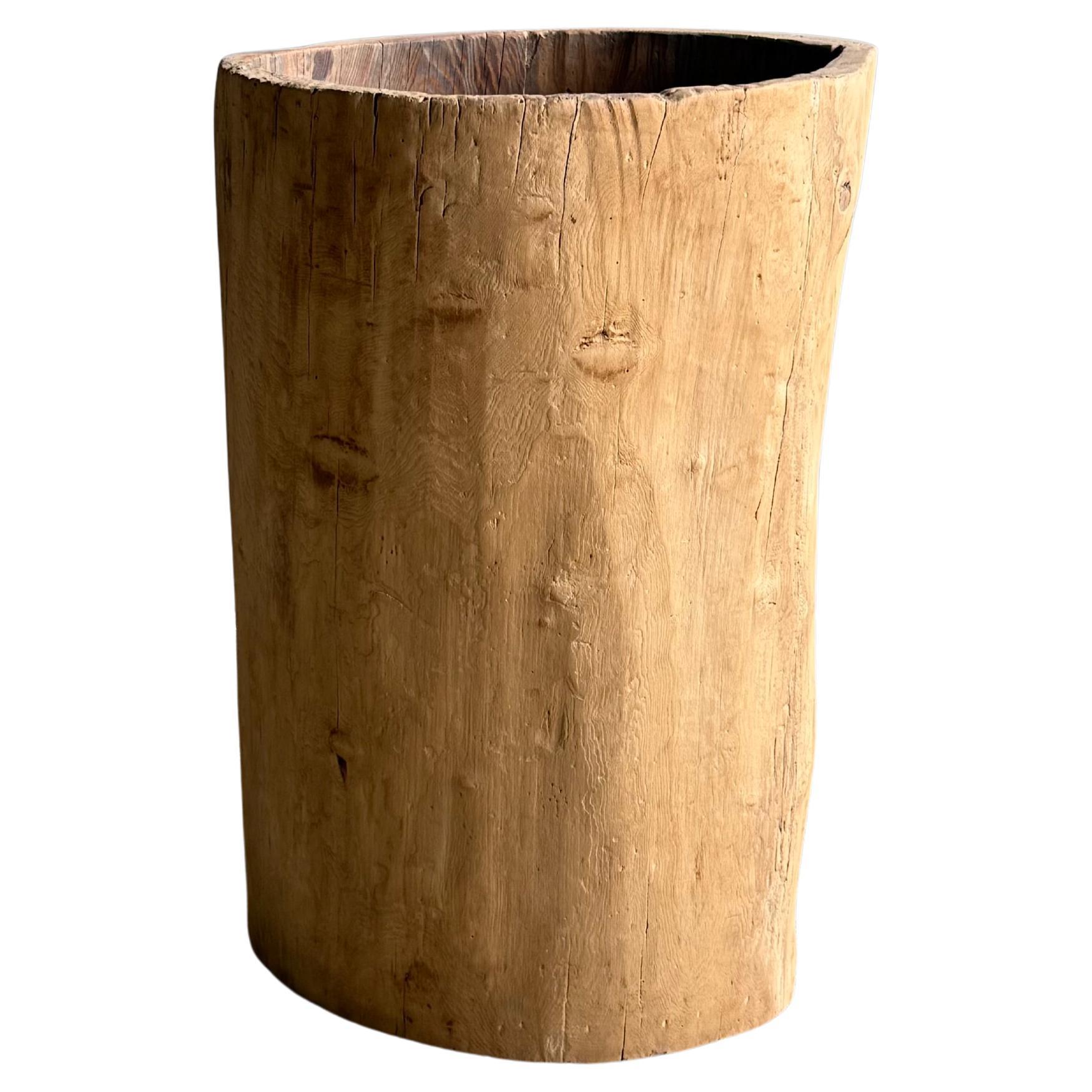 Vaso vintage con ceppo di Wood scavato