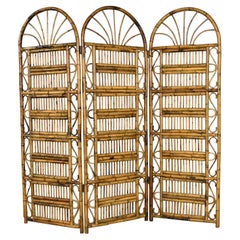 Vintage Hollywood Regency Organic Modern Rattan 3 Panel Folding Screen Arch Top