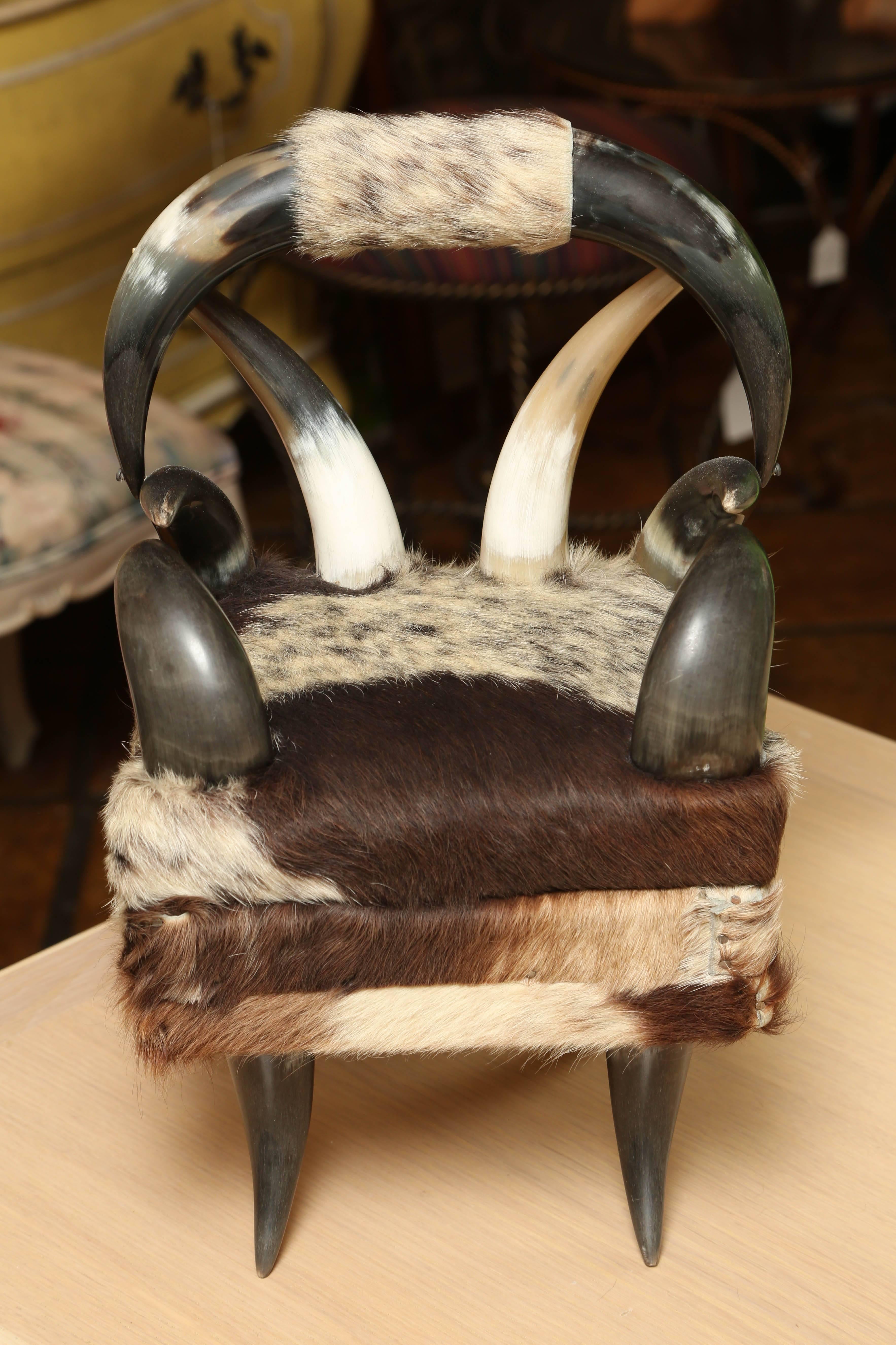 American Superb Vintage Horn and Cow Hide Box in the Form of a Chair