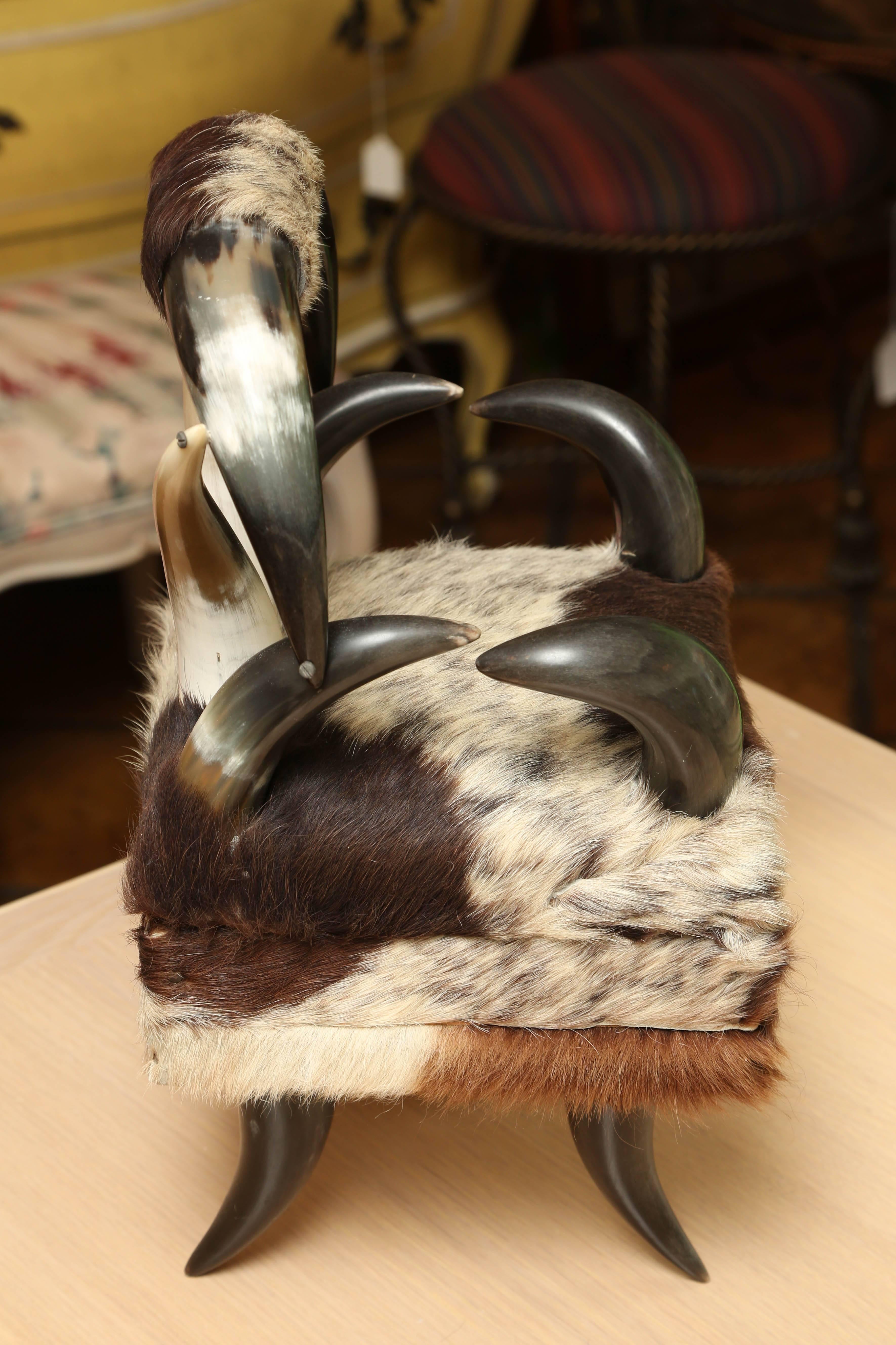 20th Century Superb Vintage Horn and Cow Hide Box in the Form of a Chair