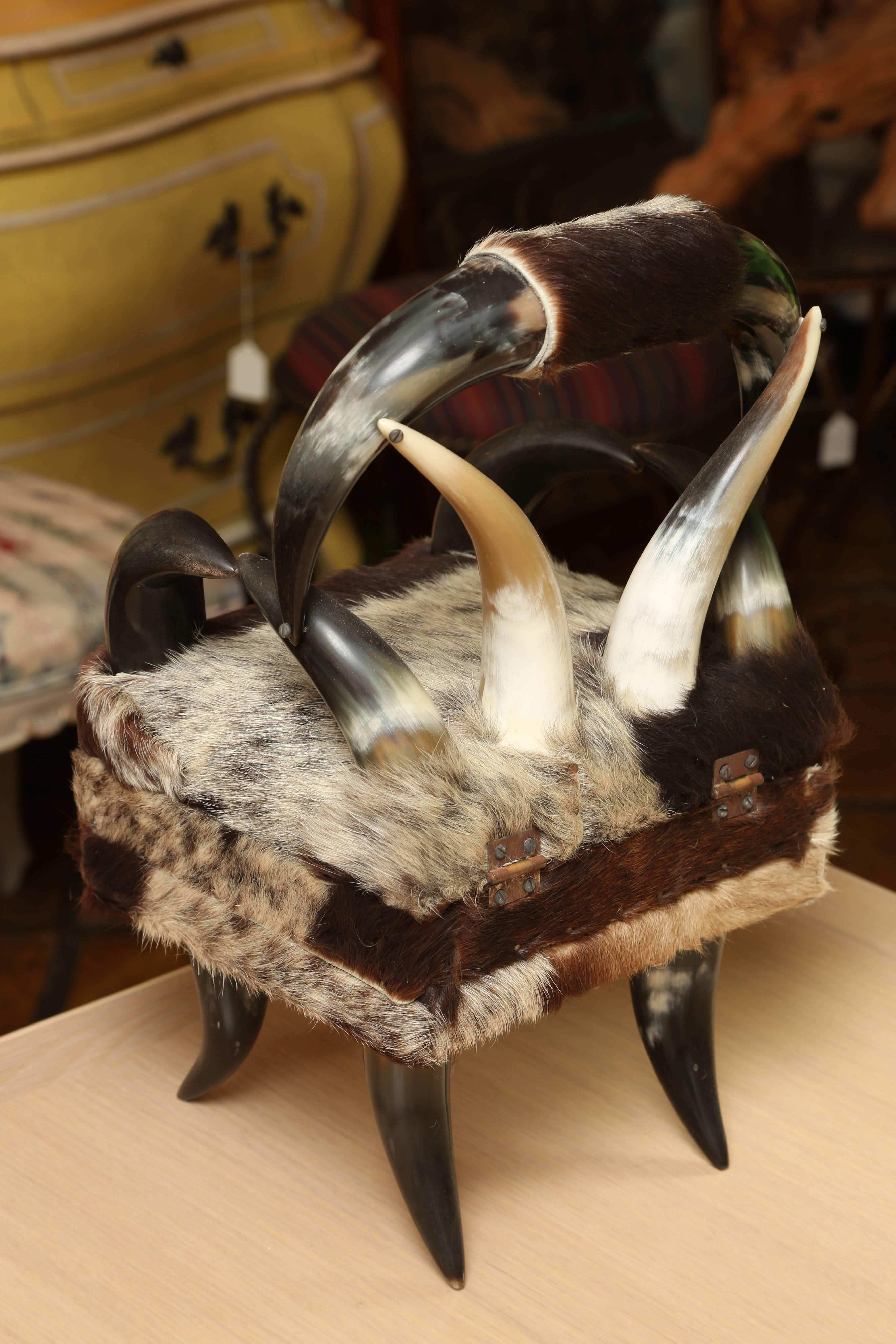 Superb Vintage Horn and Cow Hide Box in the Form of a Chair 3