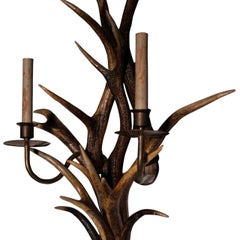 Vintage Horn & Brass Sconces