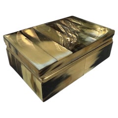 Vintage Horn Veneer Jewelry Box with Brass Trim
