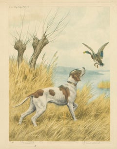 Vintage Hunting Dog Lithograph “Pointer & Mallard” by Paul Wood – New York, 1930