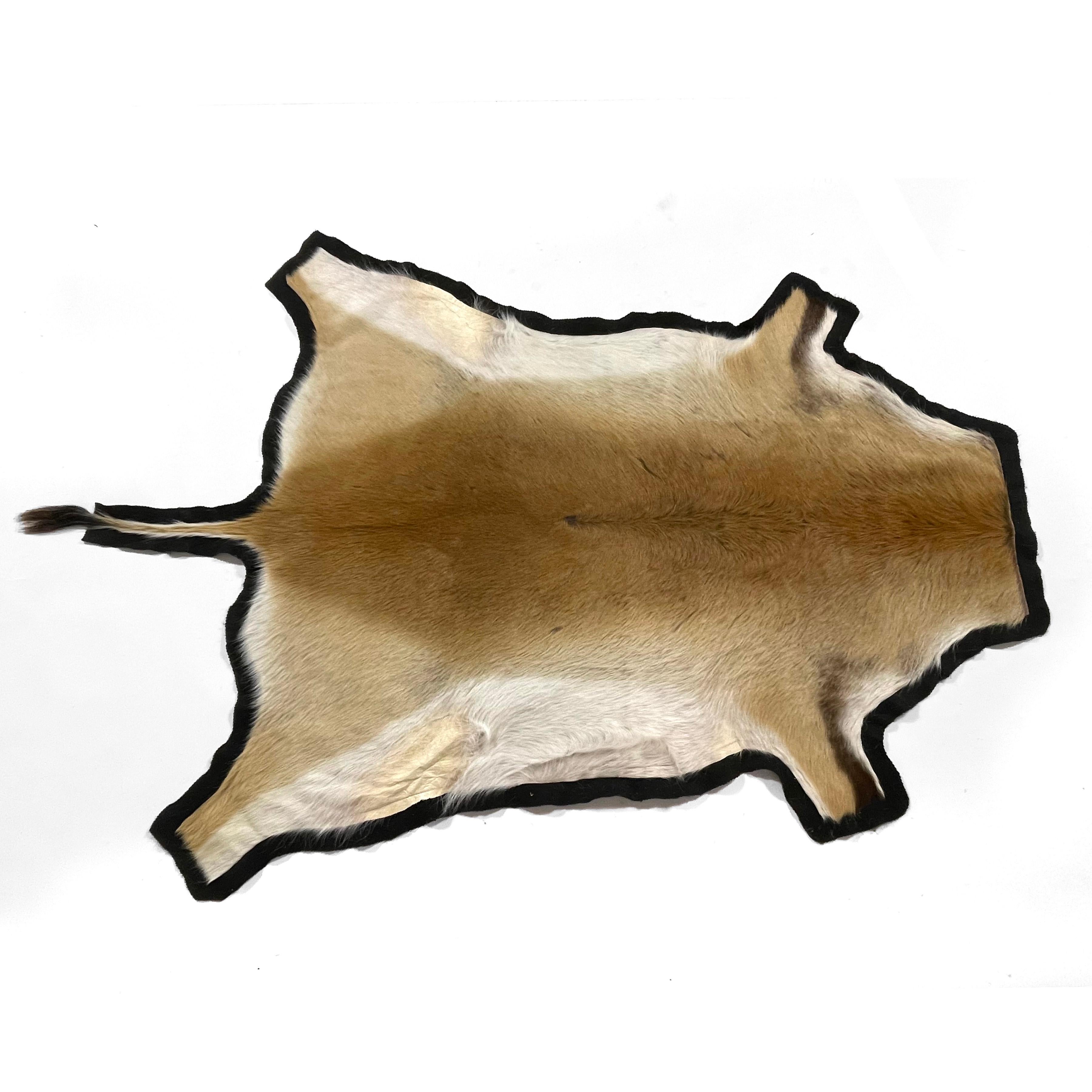 Acquise auprès de la succession d'un voyageur du monde entier, cette peau d'Impala a été recouverte de feutre noir et ajoute une texture et une couleur riches et chaudes à tout sol ou mur.

86