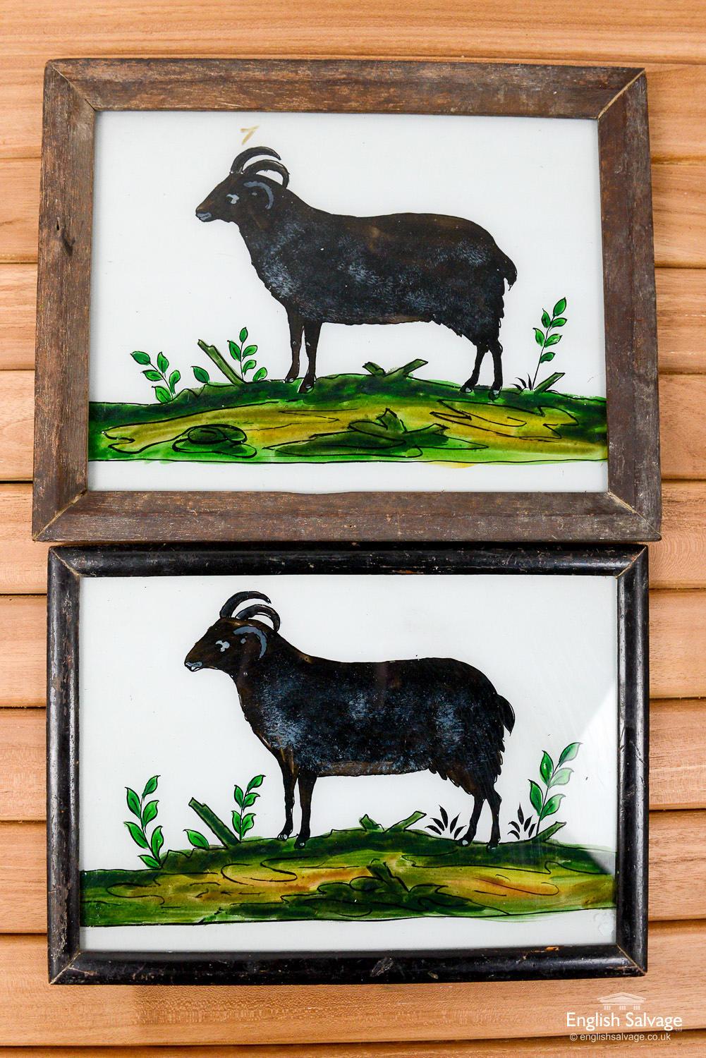 Vintage Indian Framed Animal Glass Paintings, 20th Century For Sale 1