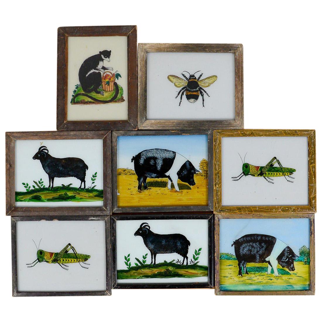 Vintage Indian Framed Animal Glass Paintings, 20th Century For Sale